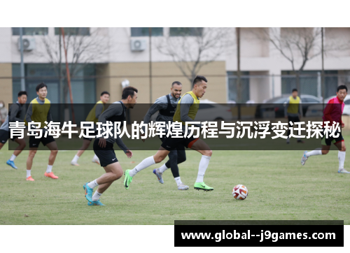 青岛海牛足球队的辉煌历程与沉浮变迁探秘